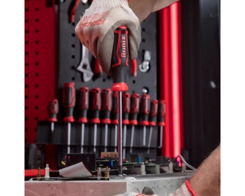 Викрутка Ronix 6*125 PH (RH-2848)