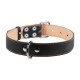 Нашийник для тварин Collar подвійний Ш 35 мм Д 48-63 см чорний (02791)