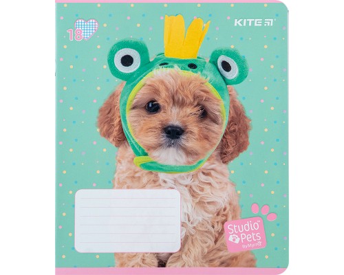 Зошит Kite Studio Pets 18 аркушів, клітинка (SP24-236)