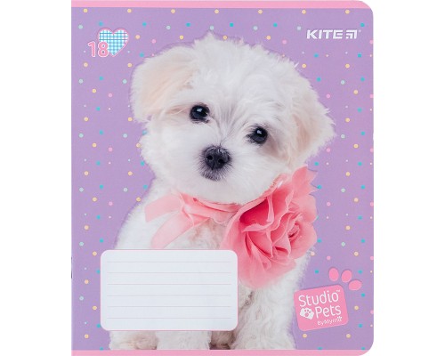 Зошит Kite Studio Pets 18 аркушів, клітинка (SP24-236)