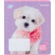 Зошит Kite Studio Pets 18 аркушів, клітинка (SP24-236)