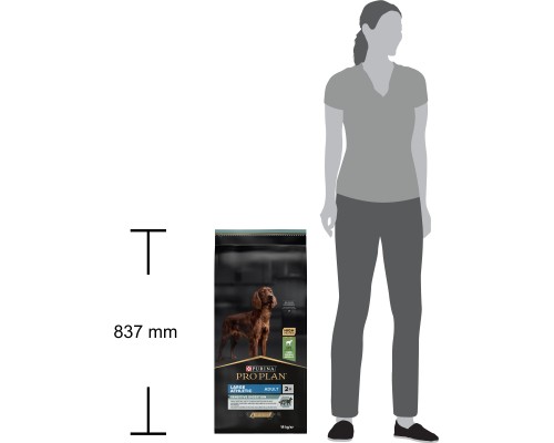 Сухий корм для собак Purina Pro Plan Large Athletic Adult 2+ Sensitive Digestion Для великих порід атлетичної статури З ягням 14 кг (7613035415591)