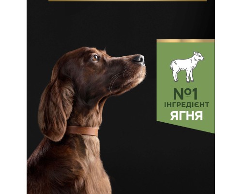 Сухий корм для собак Purina Pro Plan Large Athletic Adult 2+ Sensitive Digestion Для великих порід атлетичної статури З ягням 14 кг (7613035415591)