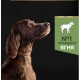Сухий корм для собак Purina Pro Plan Large Athletic Adult 2+ Sensitive Digestion Для великих порід атлетичної статури З ягням 14 кг (7613035415591)