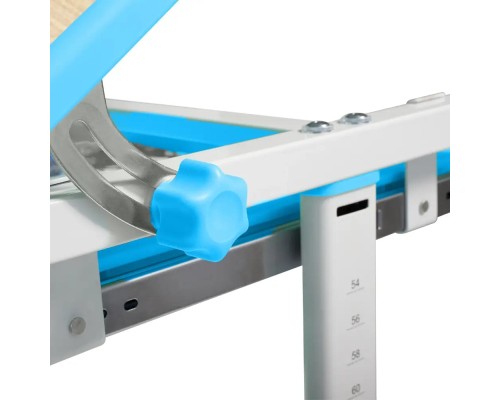 Парта зі стільцем FunDesk Piccolino III Blue-w