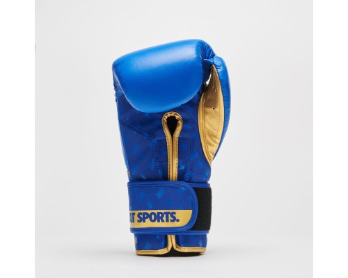 Боксерські рукавички Leone GN220 DNA Blue 10 унцій (GN220_Blue_10oz)