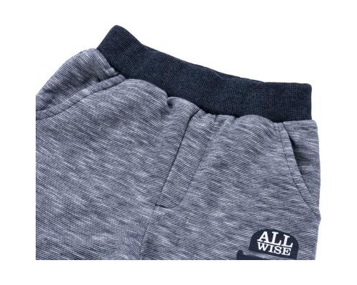 Набір дитячого одягу Breeze з собачкою в капелюсі (8713-80B-blue)