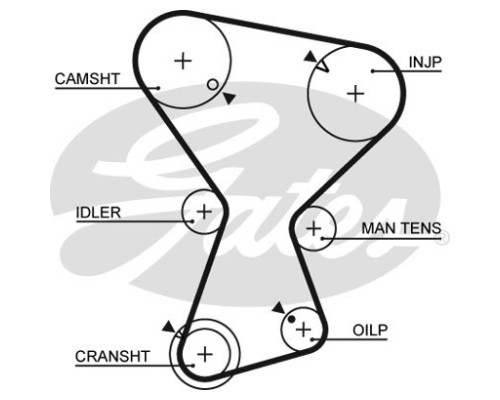 Ремінь ГРМ Gates 5072