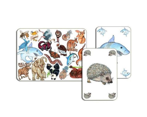 Настільна гра Djeco Займалка (Zanimatch) (DJ05153)