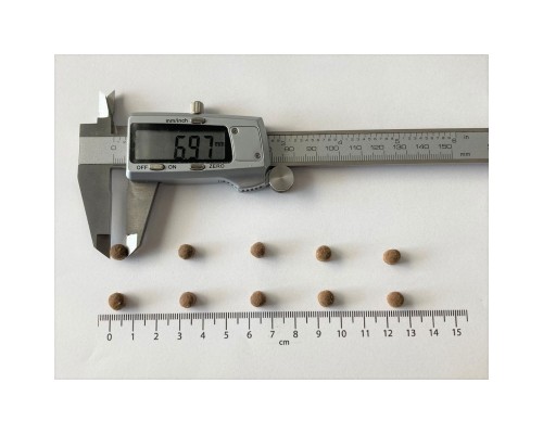 Сухий корм для кішок Brit Care Cat GF Kitten Gentle Digestion Strong Immunity з лососем 2 кг (8595602565047)