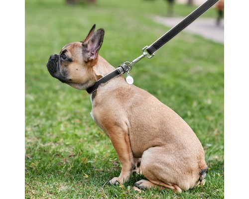 Нашийник для тварин WAUDOG Soft з QR паспортом XS Ш 15 мм Д 27-36 см чорний (7188)