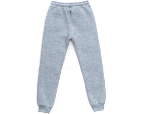 Штани дитячі Cloise спортивні флісові (CL0155019-140B-lightgray)