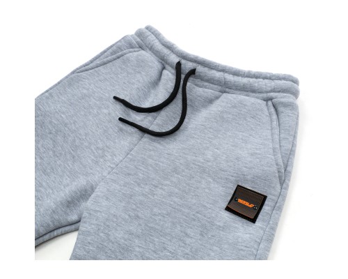 Штани дитячі Cloise спортивні флісові (CL0155019-140B-lightgray)