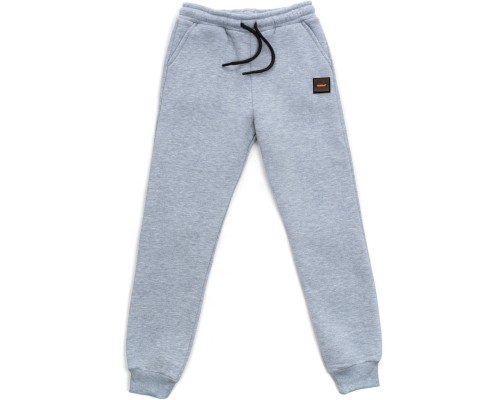 Штани дитячі Cloise спортивні флісові (CL0155019-140B-lightgray)