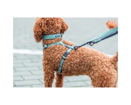 Шлея для собак Trixie CityStyle H-harness Бавовна L–XL 75–120 см 25 мм Світло-зелена (4053032682672)