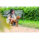 Шлея для собак Trixie CityStyle H-harness Бавовна L–XL 75–120 см 25 мм Світло-зелена (4053032682672)