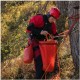 Гермомішок Osprey Wildwater Dry Bag 35 tunnel vision grey - O/S - сірий (009.3714)