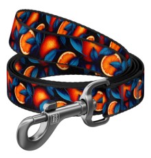 Повідок для собак WAUDOG Nylon 
