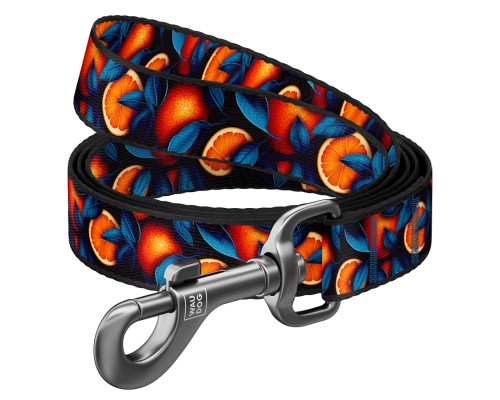 Повідок для собак WAUDOG Nylon 