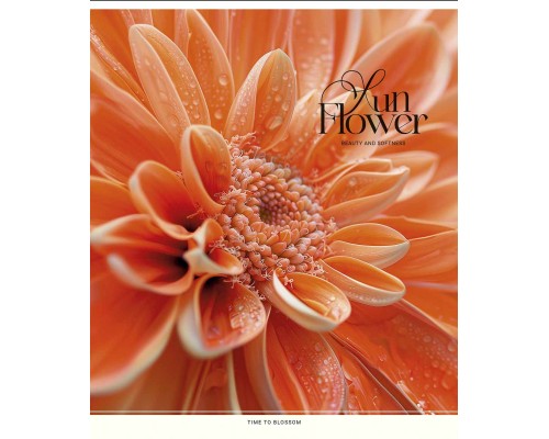 Зошит Школярик Sun Flower 60 аркушів клітинка (060-3456K)