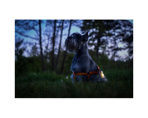 Ліхтар Armytek Zippy Grey (F06001G)