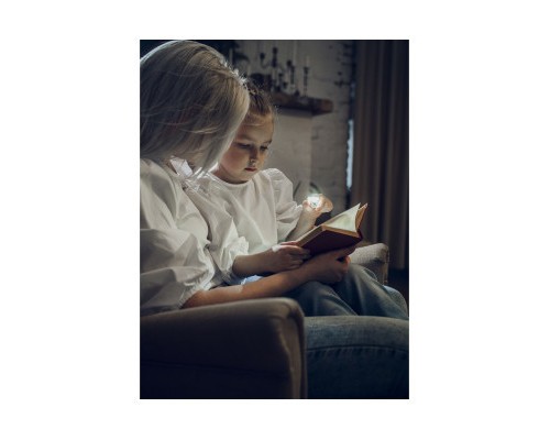 Ліхтар Armytek Zippy Grey (F06001G)