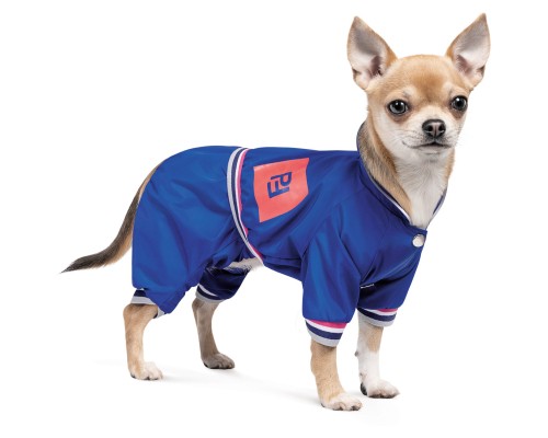 Дощовик для тварин Pet Fashion Silver ХS (4823082429905)