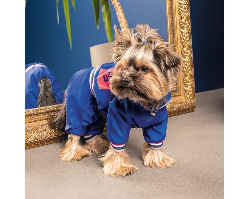 Дощовик для тварин Pet Fashion Silver ХS (4823082429905)