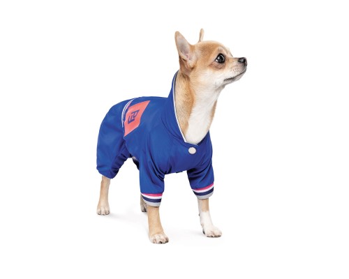 Дощовик для тварин Pet Fashion Silver ХS (4823082429905)