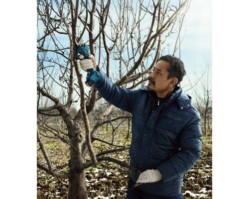Секатор Bosch Pro Pruner, 12V, 2х3Ah (0.601.9K1.021)