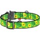 Нашийник для тварин WAUDOG Nylon 