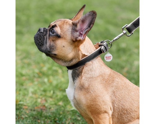 Нашийник для тварин WAUDOG Soft з QR паспортом S Ш 20 мм Д 30-39 см чорний (7190)