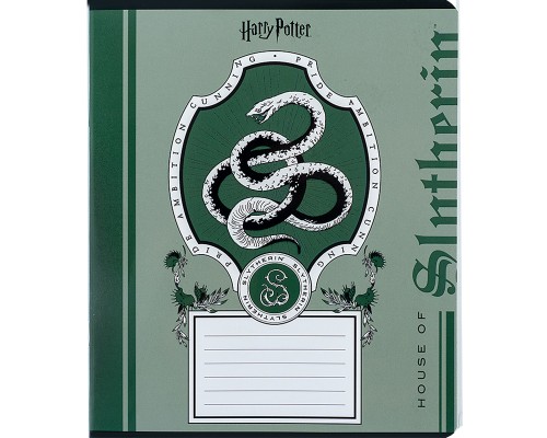 Зошит Kite Harry Potter 18 аркушів, лінія (HP24-237)