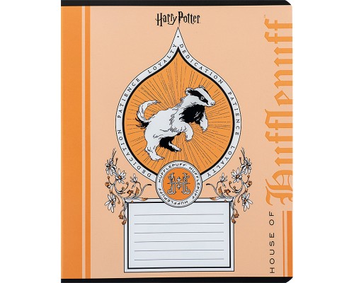 Зошит Kite Harry Potter 18 аркушів, лінія (HP24-237)