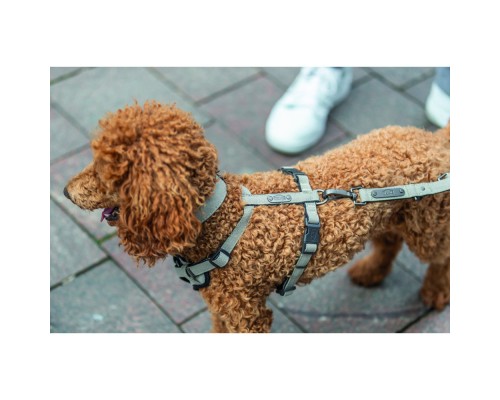 Шлея для собак Trixie CityStyle H-harness Бавовна L–XL 75–120 см 25 мм Світло-сіра (4053032682689)