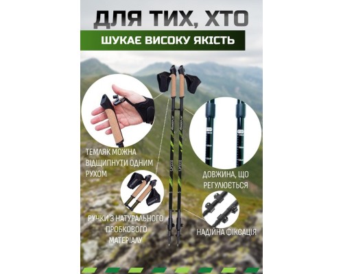 Палиці для скандинавської ходи PowerPlay 9104 Lykke Black/Green 80-135 см (PP_9104_LYKKE)