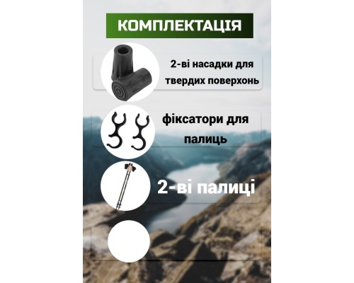 Палиці для скандинавської ходи PowerPlay 9104 Lykke Black/Green 80-135 см (PP_9104_LYKKE)