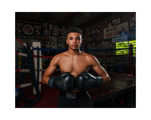 Боксерські рукавички Title Boxing Vegan Gloves Black 8 oz (VGFBG 8 oz BK/BK)