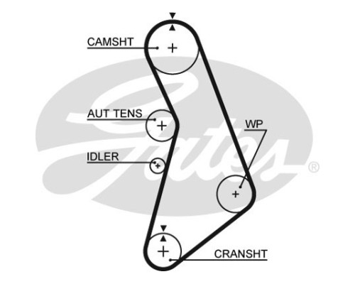 Ремінь ГРМ Gates 5491XS