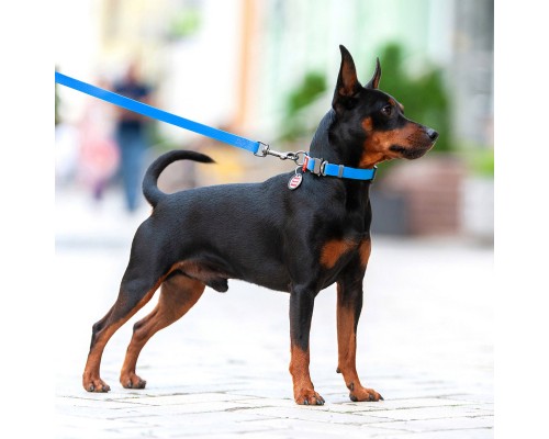 Повідок для собак WAUDOG Waterproof L-XXL Ш 25 мм Д 305 см блакитний (27342)