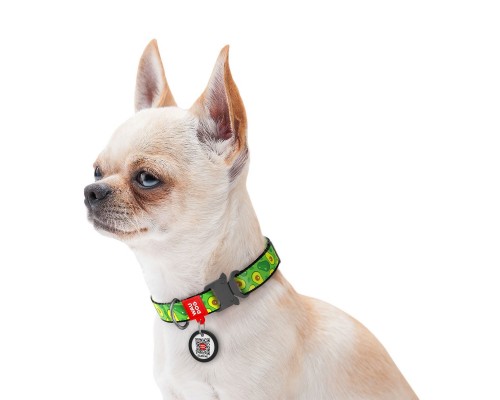 Нашийник для тварин WAUDOG Nylon 