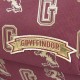Рюкзак шкільний Cerda Harry Potter School Backpack (CERDA-2100002835)