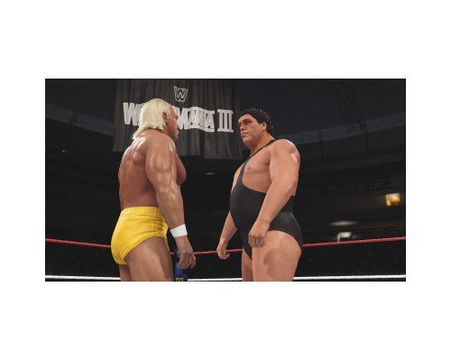 Гра Sony WWE 2K24, BD диск (5026555437165)