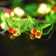 Гірлянда YES! Fun На мідному дроті Омела 20 LED Тепло-біла 2.2 м На батарейках (801210)