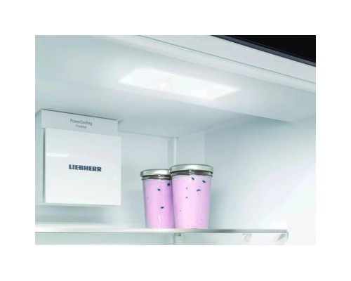 Холодильник Liebherr ICNSe 5103 Pure (ICNSE5103)
