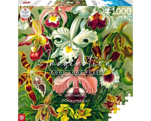 Пазл GoodLoot Imagination: Orchid Ernst Haeckel 1000 ел. (5908305247531)