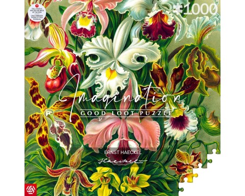 Пазл GoodLoot Imagination: Orchid Ernst Haeckel 1000 ел. (5908305247531)