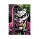 Пазл DoDo Easy-S Batman. Джокер (200556)