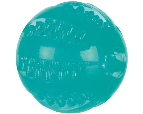 Іграшка для собак Trixie Denta Fun М'яч d 6 см (4011905336800)