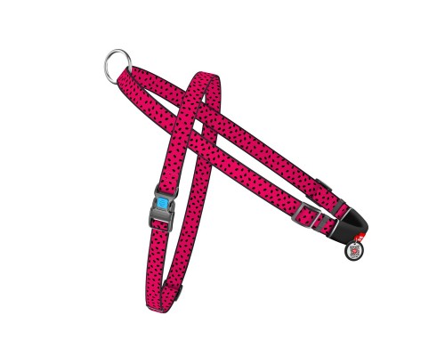 Шлея для собак WAUDOG Nylon з QR-паспортом 